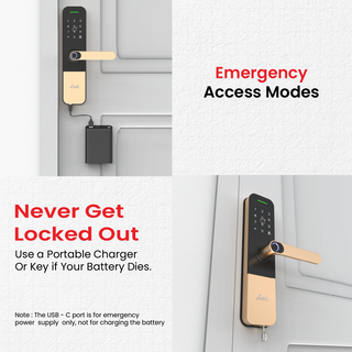 Link Smart Vitron Digital Biometric Door Lock (Mobile app with Wi-Fi, Gold)
