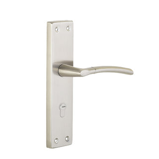 Link Mortise Handle Aurum CY 8" PLATE BSK SS