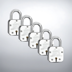 Link Atoot 55MM Padlocks 5Pcs Set | 2 Lakhs Key Combinations | Steel Body | Hardened Shackle | 8 Brass Levers | Made in India | 3 Keys for Each Padlock