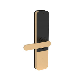 Link Smart Vitron Digital Biometric Door Lock (Mobile app with Wi-Fi, Gold) COMBO