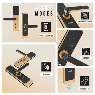 Link Smart Quantum Digital Biometric Door Lock (Mobile app with Wi-Fi, Gold) Combo