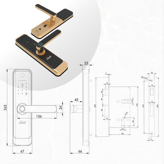 Link Smart Quantum Digital Biometric Door Lock (Mobile app with Wi-Fi, Gold) Combo